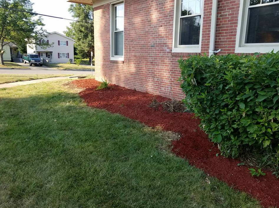 Fresh red mulch installed along a building