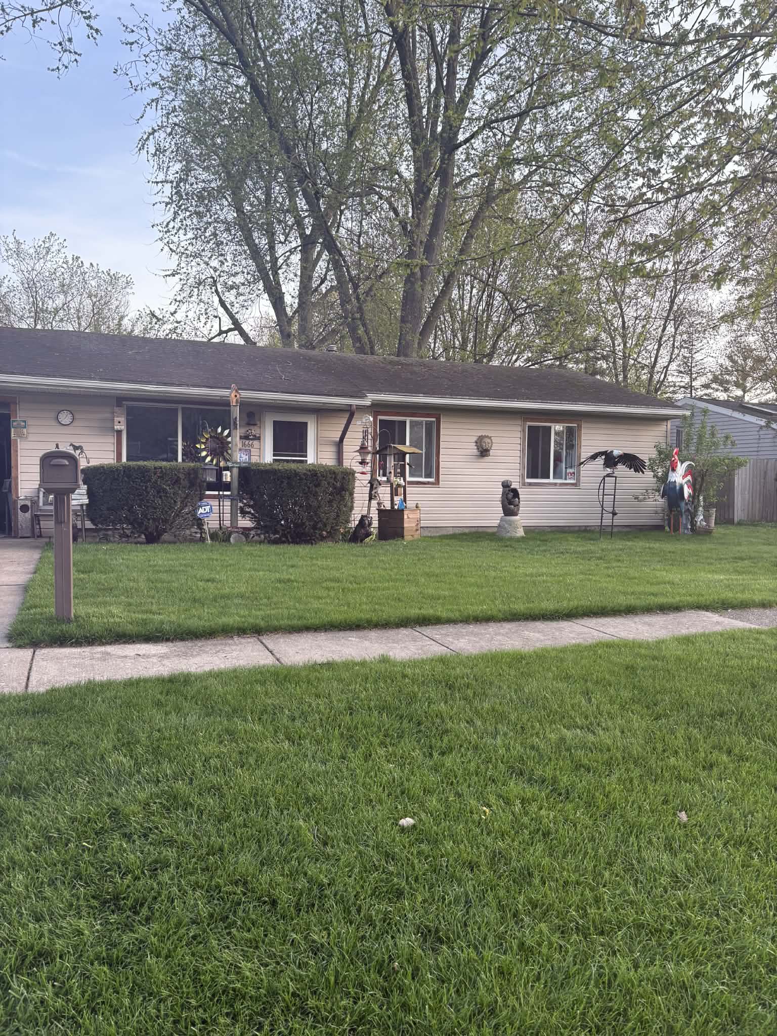 Example local lawn service photo
